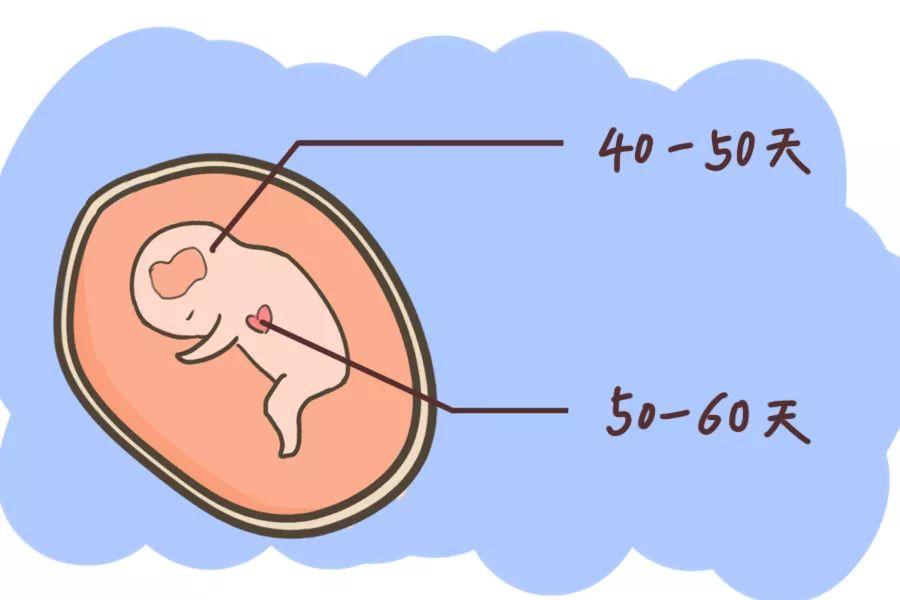 医院精子库价格表（附精子库购买）