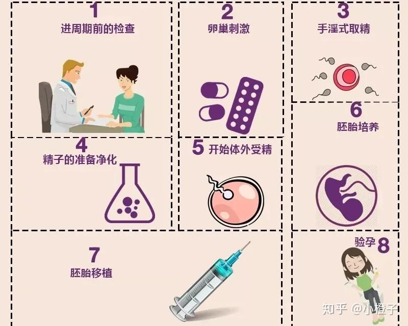 2024年广州正规供卵试管排名更新了,哪家私立医院上榜了