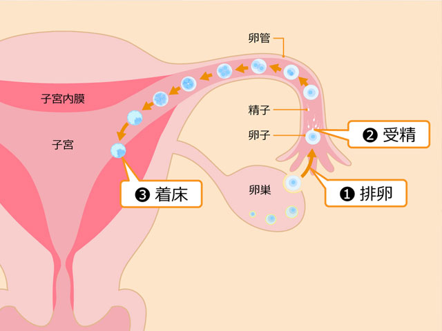 女性代生孩子电话+2024年广州市试管三代医院医院排名比较好的医院是广州妇幼吗